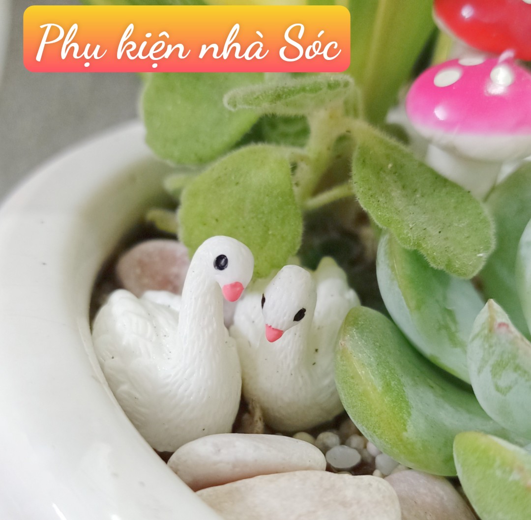 Thiên nga trắng mini trang trí tiểu cảnh dễ thương