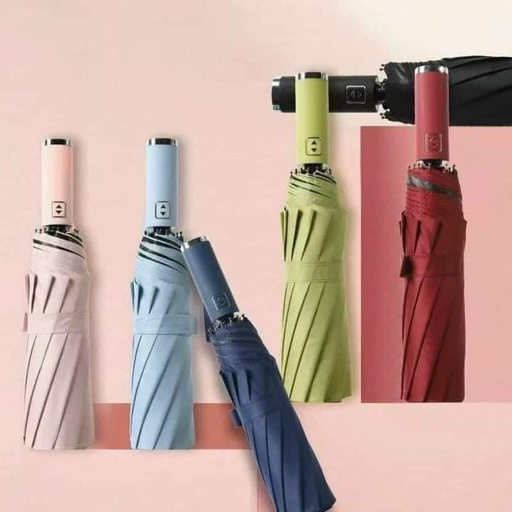 Ô dù tự động gấp gọn mẫu mới