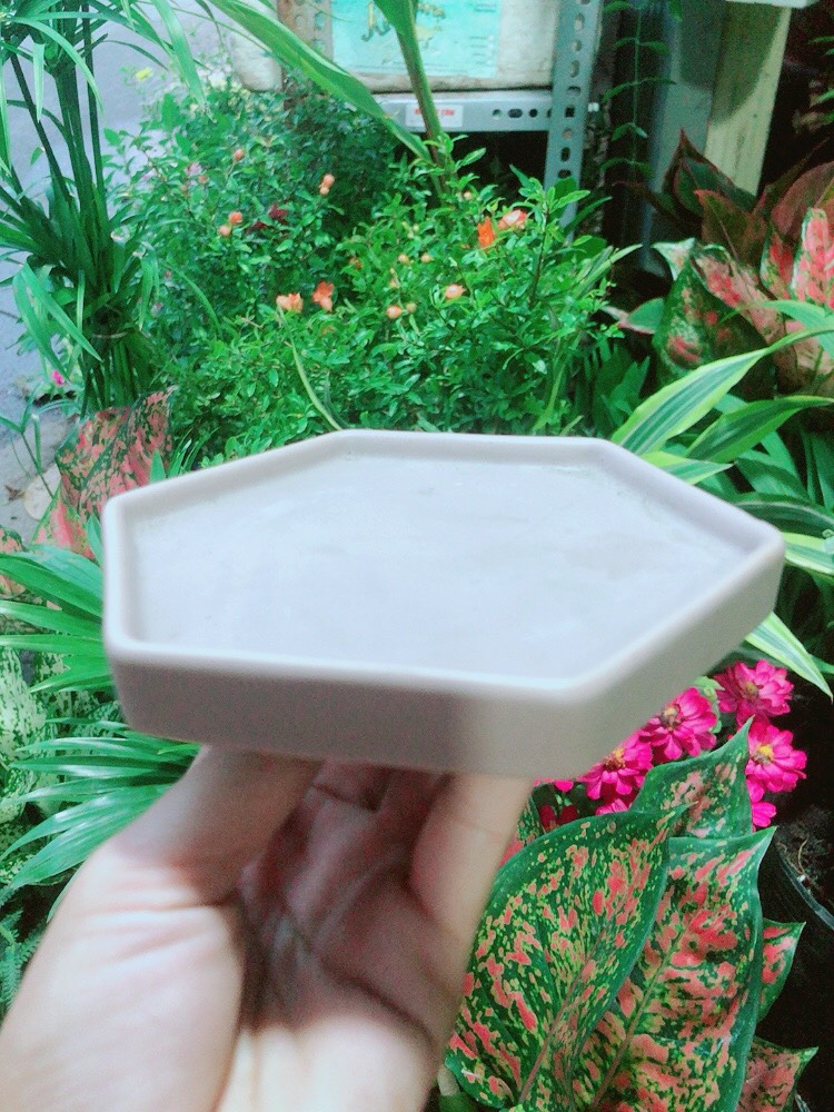 Đĩa Lót Chậu (đường kính 12cm)