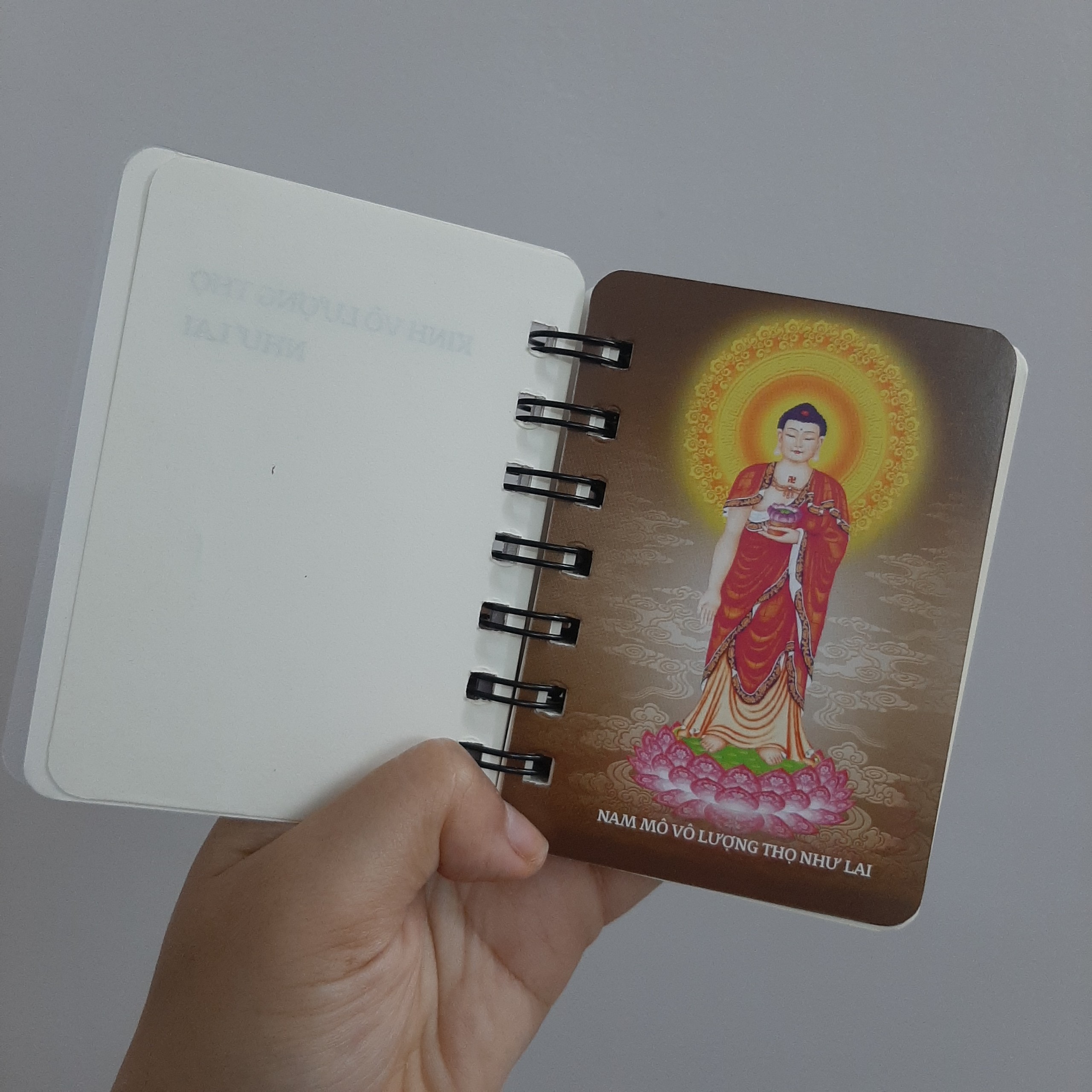 KINH VÔ LƯỢNG THỌ