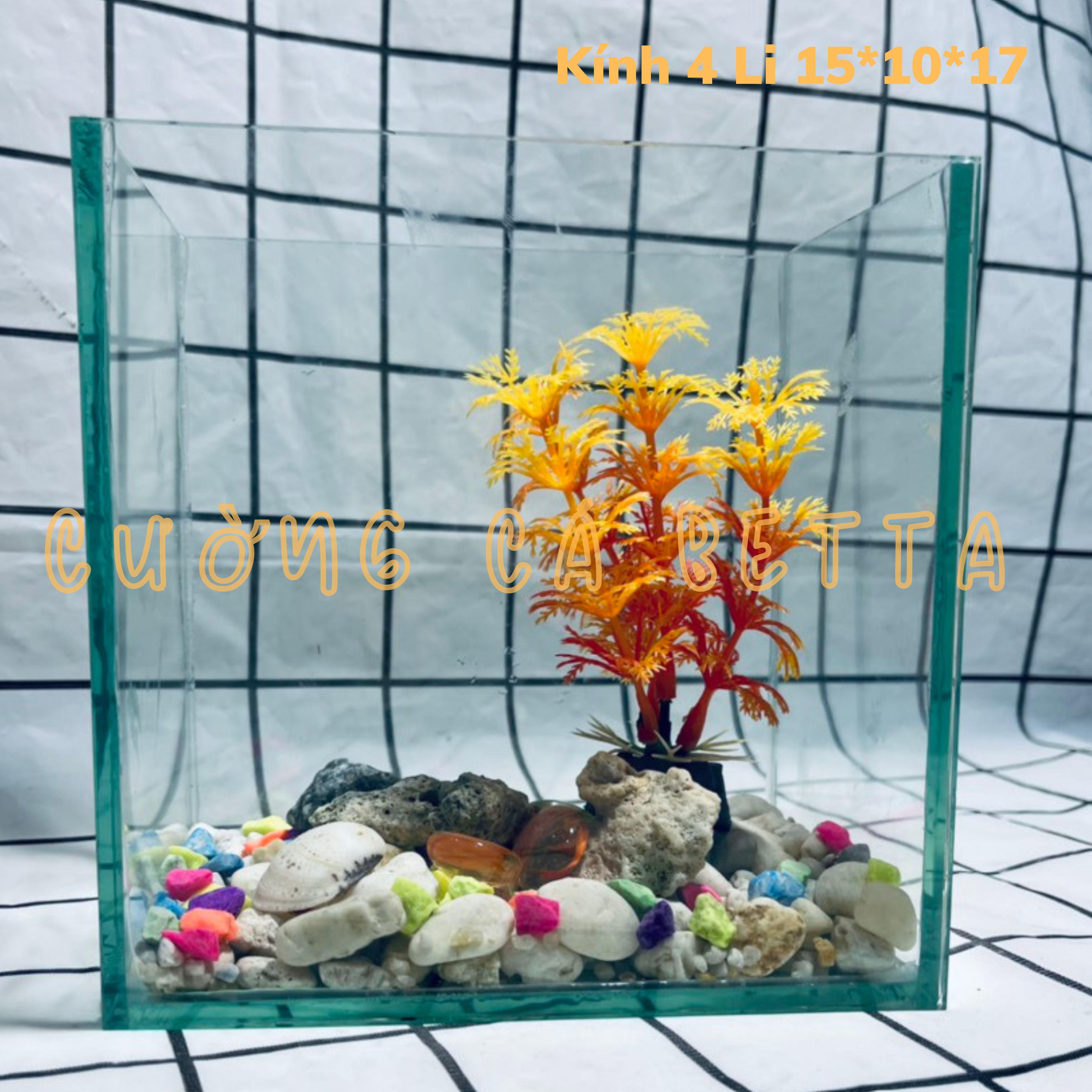Bể cá mini betta nhỏ xinh có phụ kiện, bể cá để bàn 1517 kính 4 ly