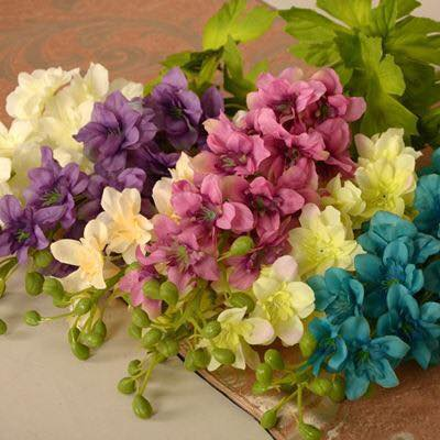 Hạt giống hoa phi yến nhiều màu - 50hạt/gói - VTNN2