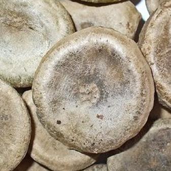 1kg hạt mã tiền