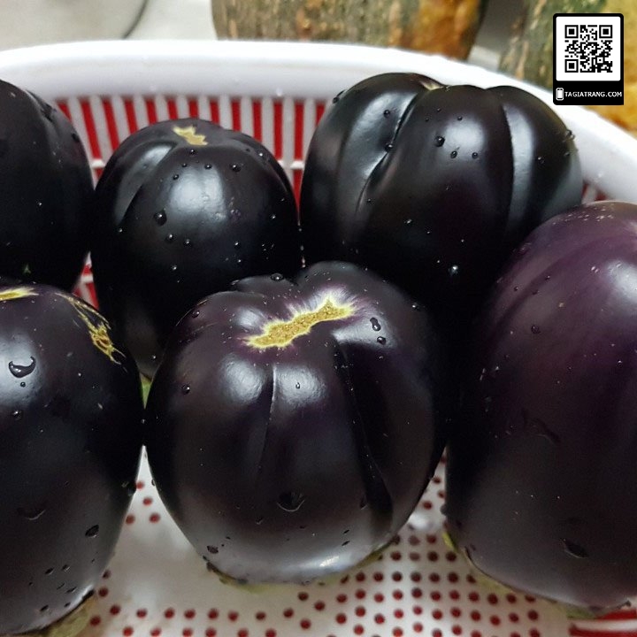 Hạt giống cà tím tròn, quả tròn, màu tím, rất nhiều dinh dưỡng