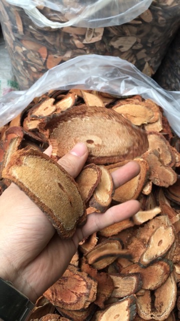 cỏ máu phơi khô nguyên vi