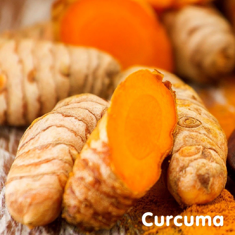 Tinh dầu củ nghệ Curcuma Essential Oil (khác Turmeric)