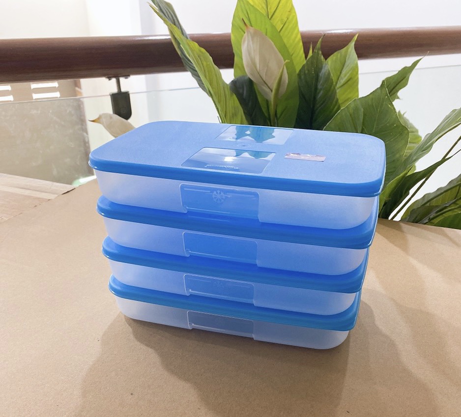 Hộp trữ đông dẹt 650ml Tupperware (set 4 hộp)