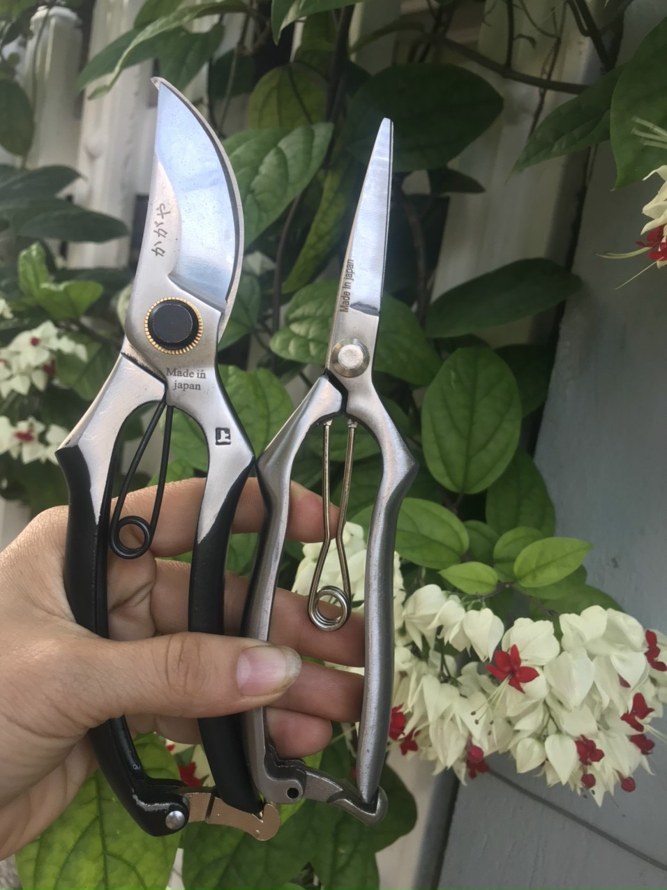 Bộ kéo cắt tỉa cây cảnh, bonsai Nhật bản