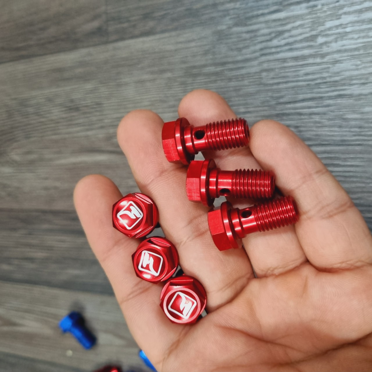 Ốc gắn dây dầu thắng dĩa mẫu ZIN độ màu gắn các heo dầu NISSIN, BREMBO - Ốc gắn dây dầu thắng dĩa trước hoặc sau