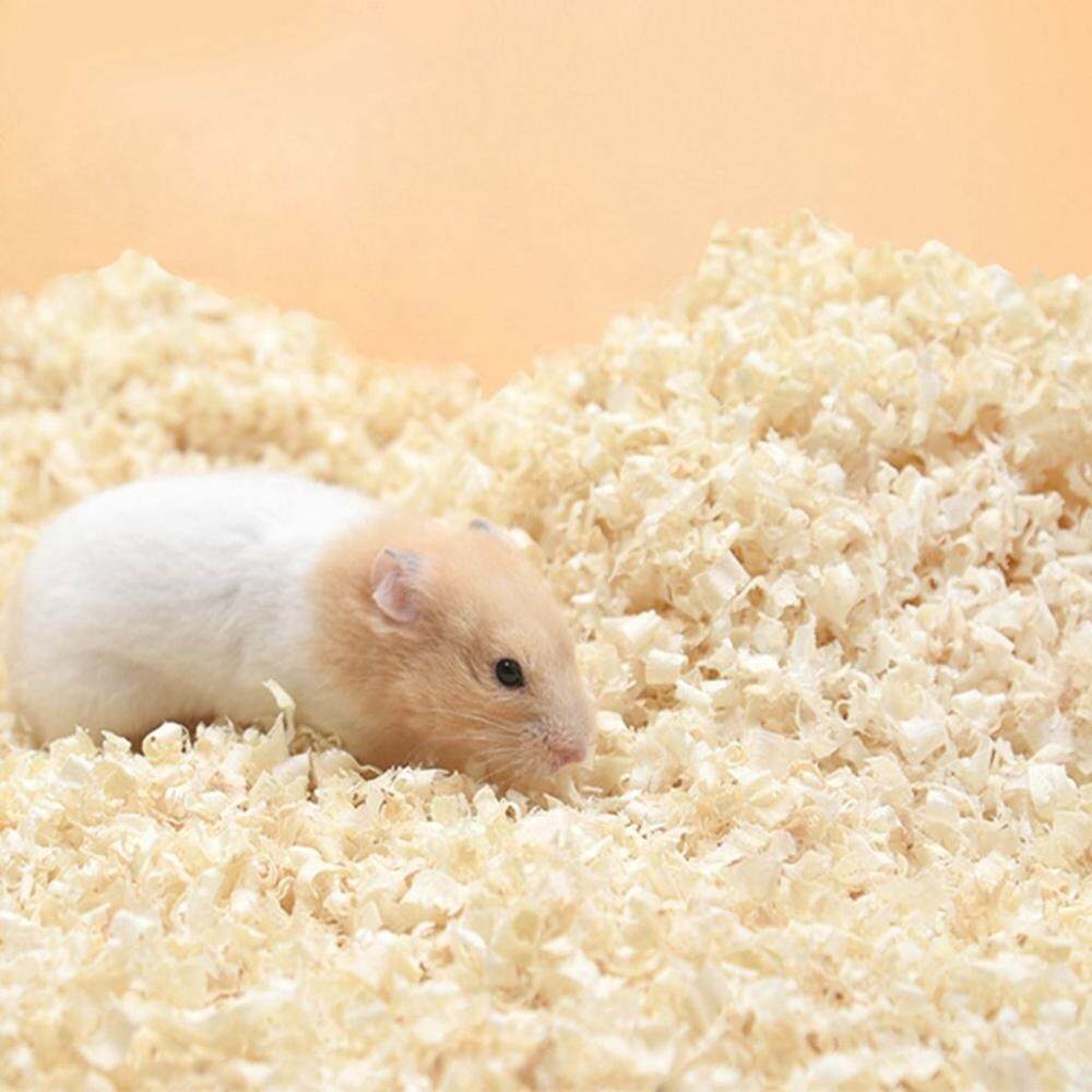 Mùn cưa cho Hamster, nhím kiểng