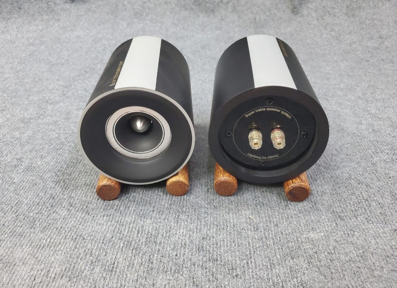 Cặp Loa Siêu Treble Pioneer VE06