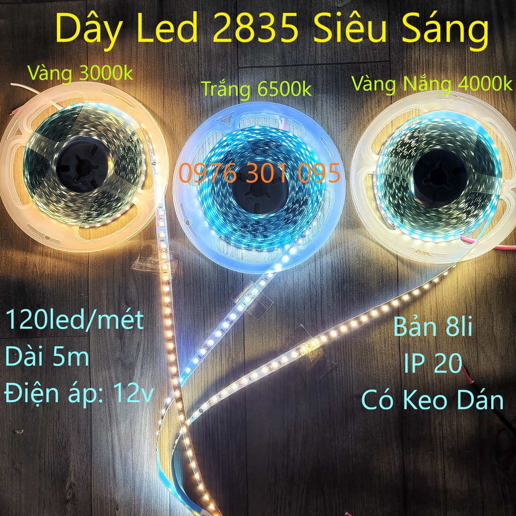 Đèn Led Dây 5m 12v, 2835 120 led (Trắng - Vàng - Vàng Nắng 4000k)