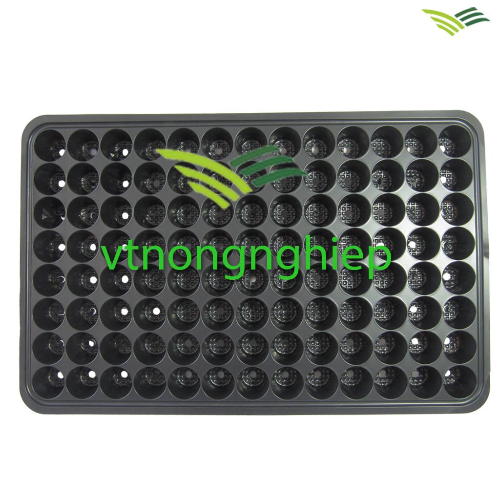 10 khay nhựa ươm cây 104 lỗ