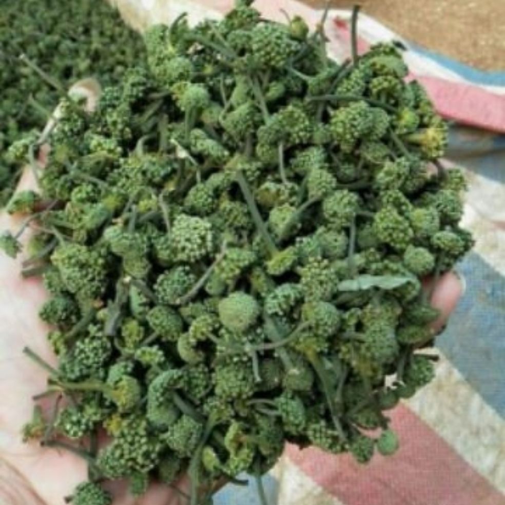 Nụ Hoa Tam Thất 500gr