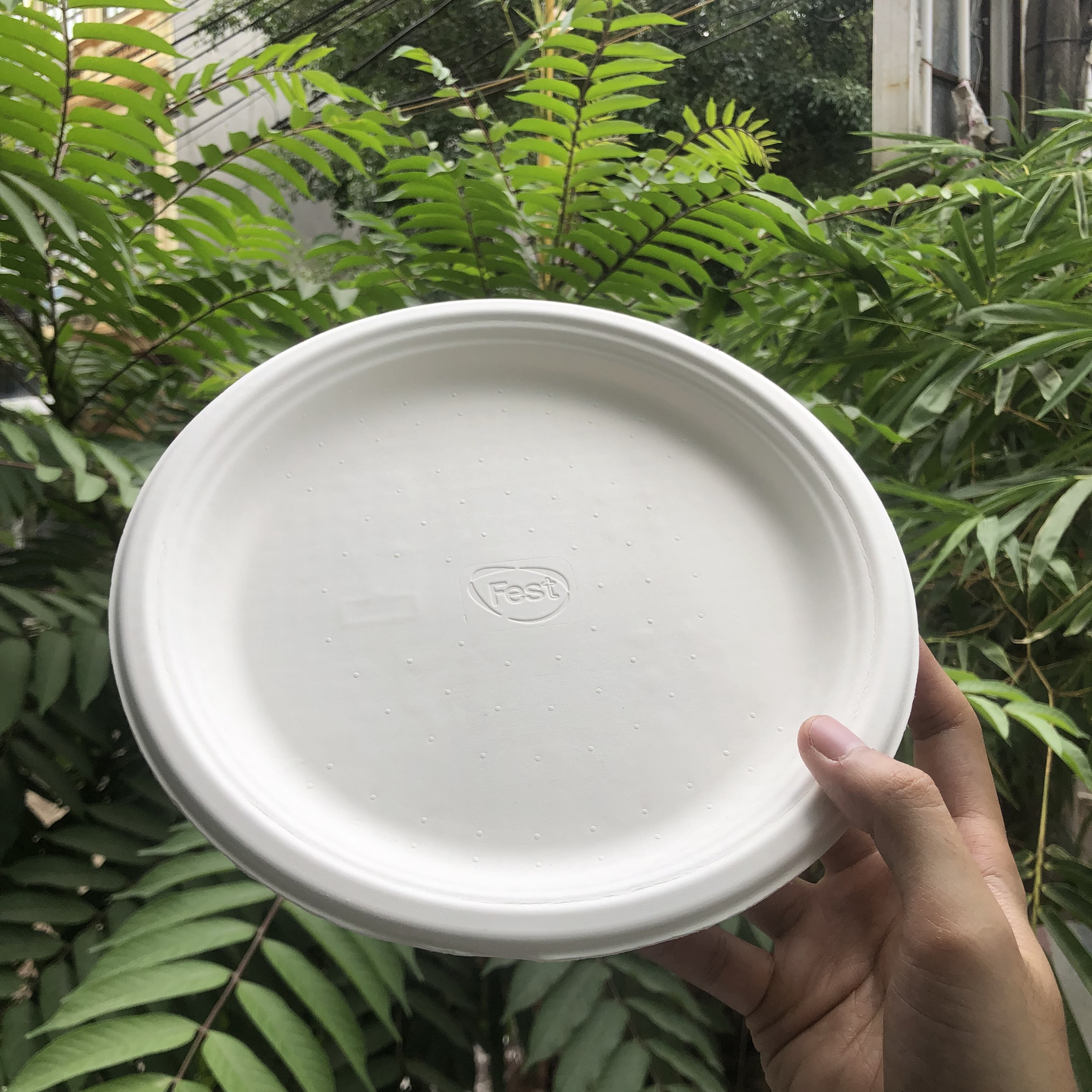 Combo Đĩa giấy bột gỗ dùng 1 lần Fest bio 9 inches [ 𝙃𝙖̀𝙣𝙜 𝘾𝙝𝙞́𝙣𝙝 𝙃𝙖̃𝙣𝙜 ]
