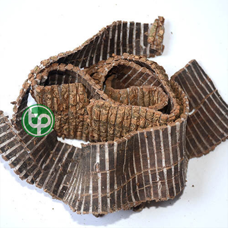 Đỗ  trọng sấy khô loại 1kg - Hàng công ty chất lượng cao giá tốt nhất thị trường Việt Nam - Thảo Dược Tấn Phát