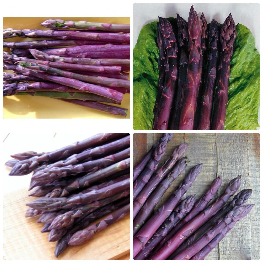 Gói 1g hạt giống măng tây tím California