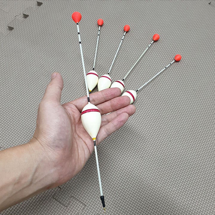 Phao câu cá, phao câu lục gần bờ bầu 32
