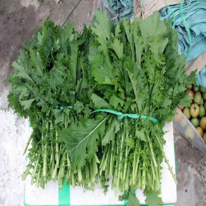 Hạt giống rau Cải Mèo Hà Giang