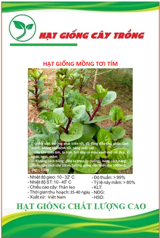 Hạt giống rau mồng tơi tím ct351 - gói 3gram