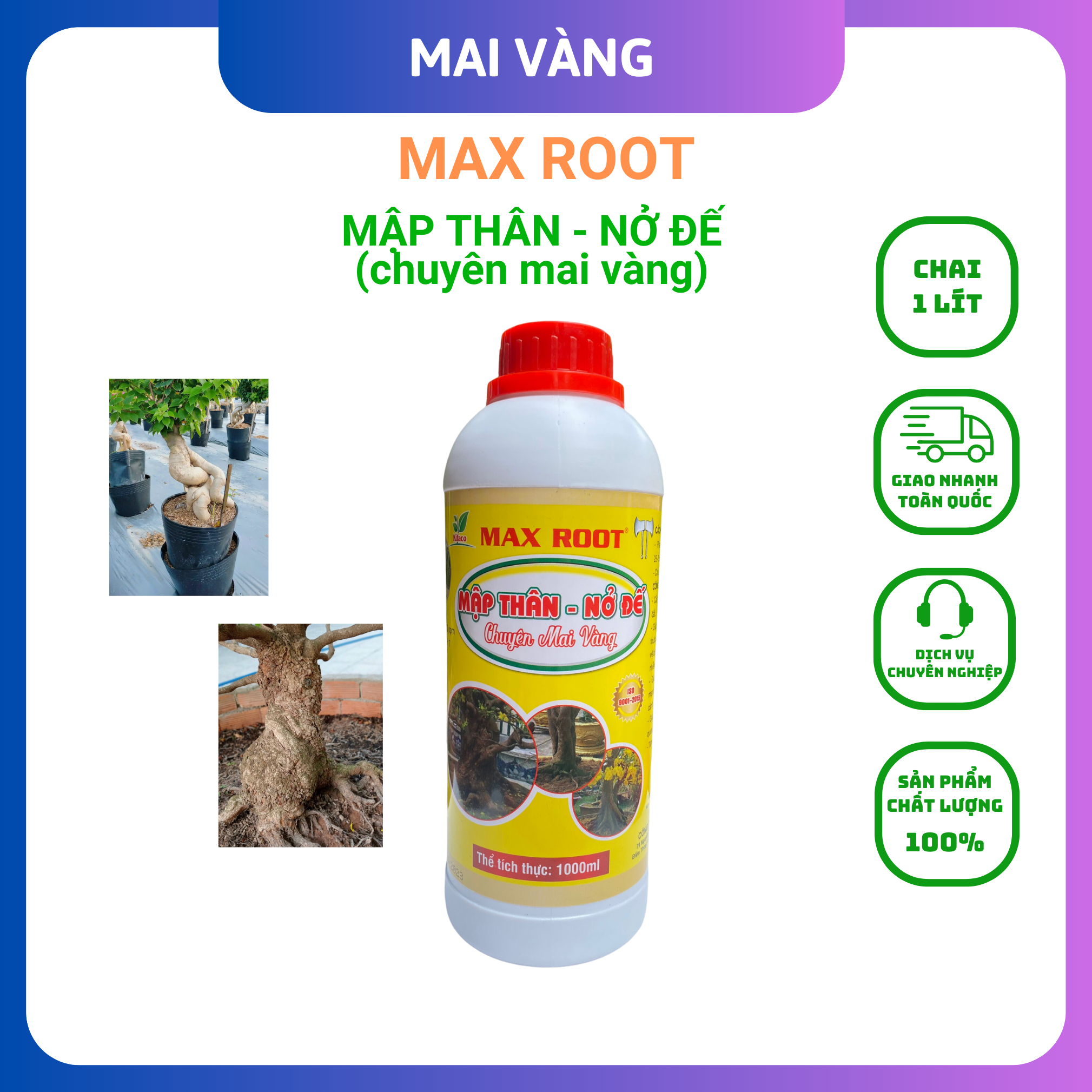 Phân bón mai vàng, mập thân nở đế chai 1 lít