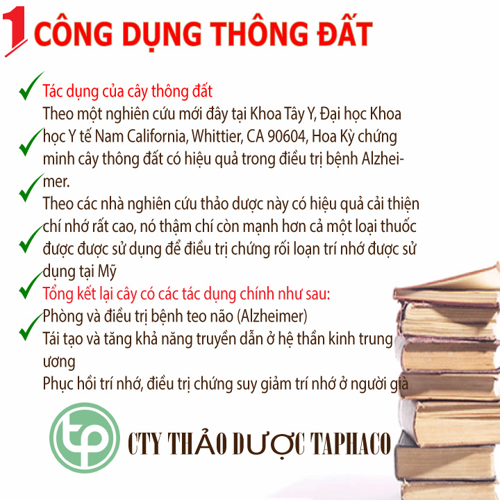 [HOT] Cây thông đất khô 500g - Hàng sạch thơm cao cấp - Thảo Dược Tấn Phát