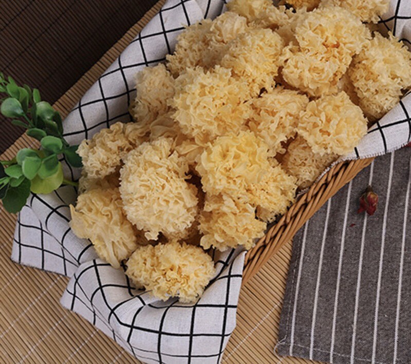 [HCM]Nấm tuyết rừng Đông Tạng 100g