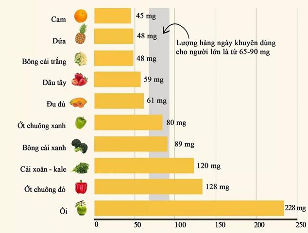 Bột cải kale Jan’s mới 20 gói tiện dụng