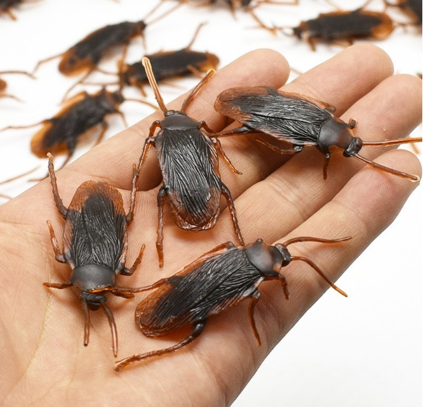 Con Gián Đồ Chơi Cho Chó Mèo
