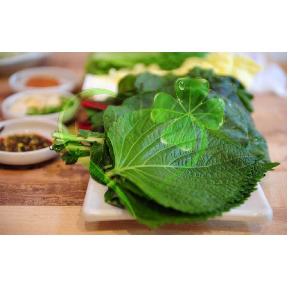 Hạt giống rau thơm mè Hàn Quốc - Gói 1g