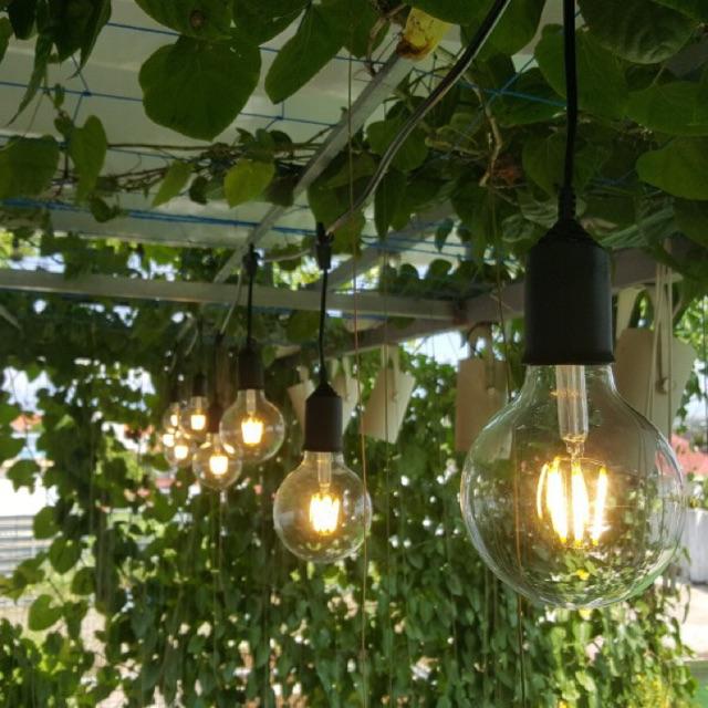 [HCM]Bộ dây treo kín nước dài 10m 15 đuôi đèn e27