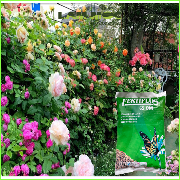Phân Hữu Cơ Hà Lan Fertiplus - Gói 1 Ký