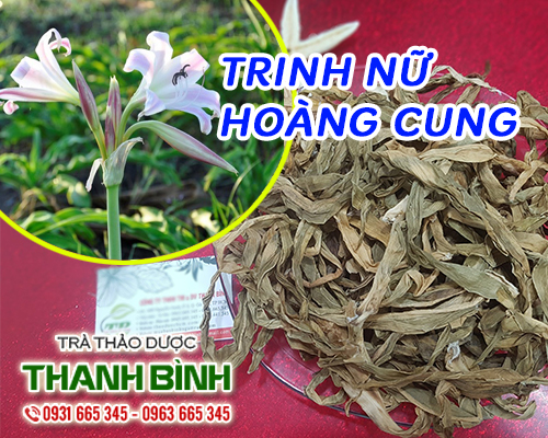 Combo 2Kg Trinh Nữ Hoàng Cung - Đông Y Thanh Bình