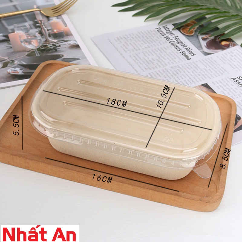 Hộp bento bã mía hình oval (có 2 mẫu) set 10 cái