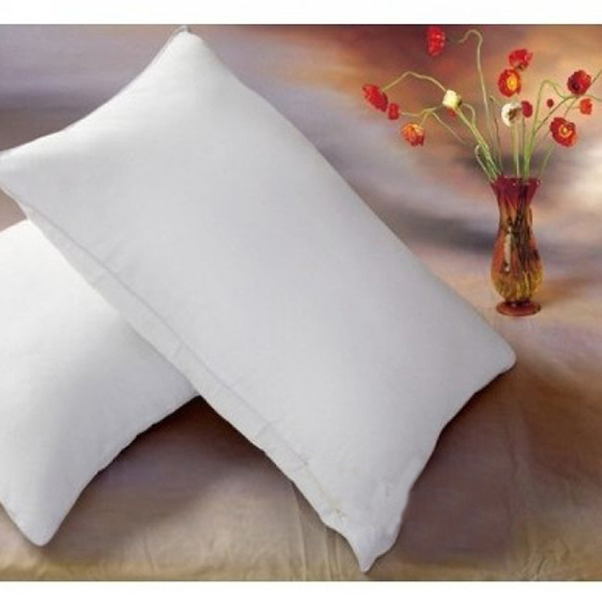 Combo 2 ruột gối nằm ép hơi 35x55