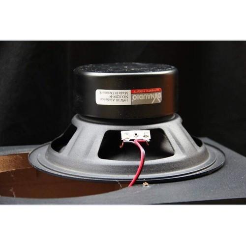 Loa cao cấp Dynaudio nhập khẩu châu Âu