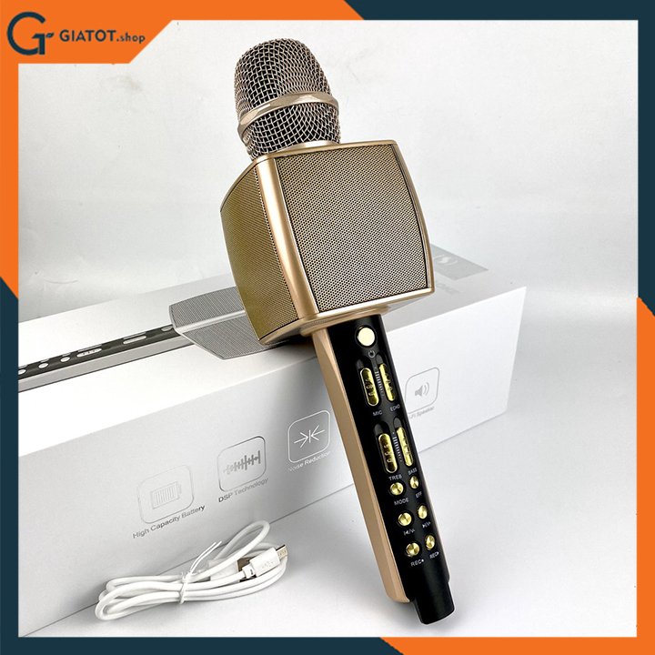 Mic kèm loa karaoke Anysing ZBX-69