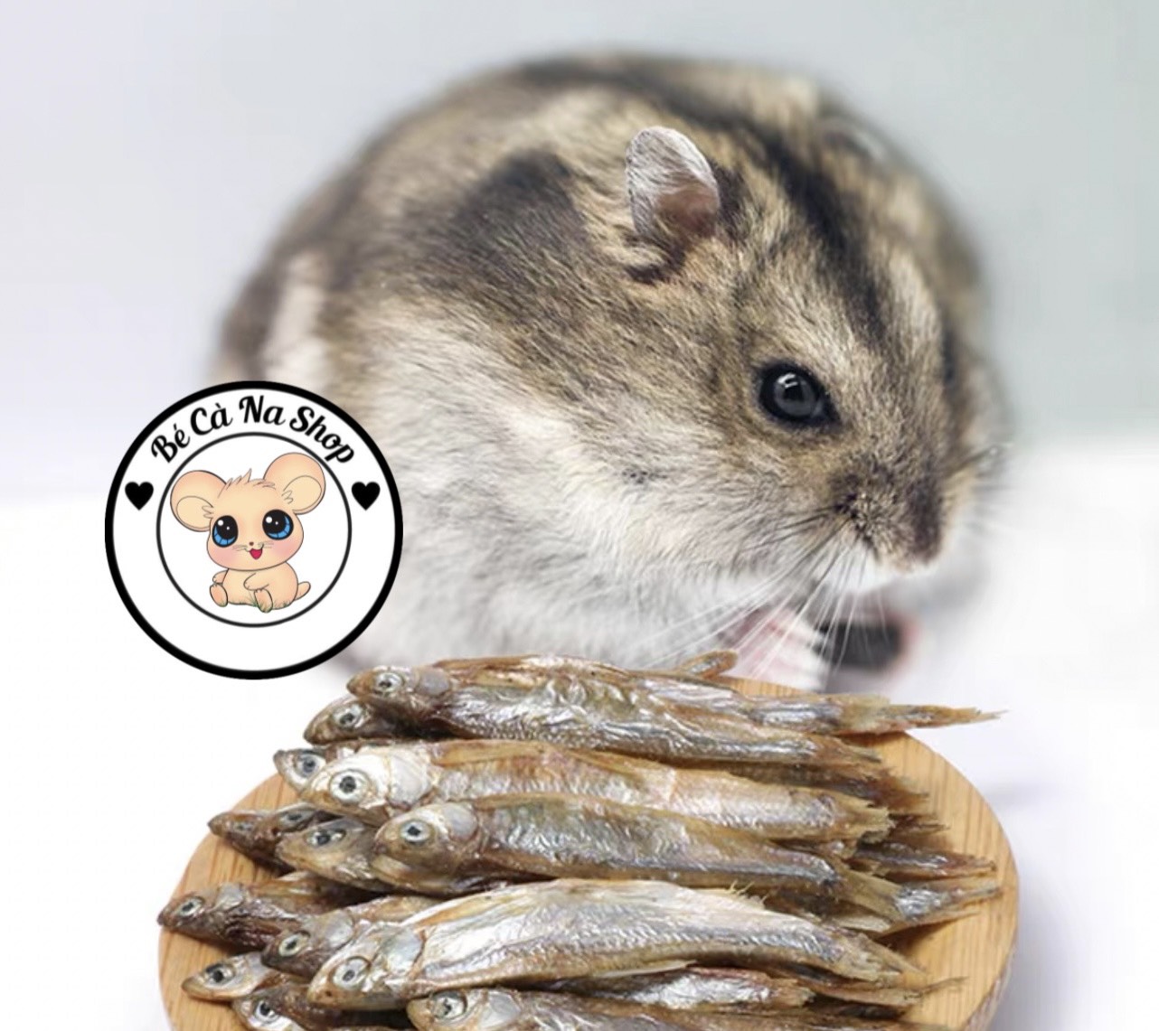 Cá sấy cho hamster . (bé cà na) Thức ăn cho hamster , thỏ , bọ ,sóc ...