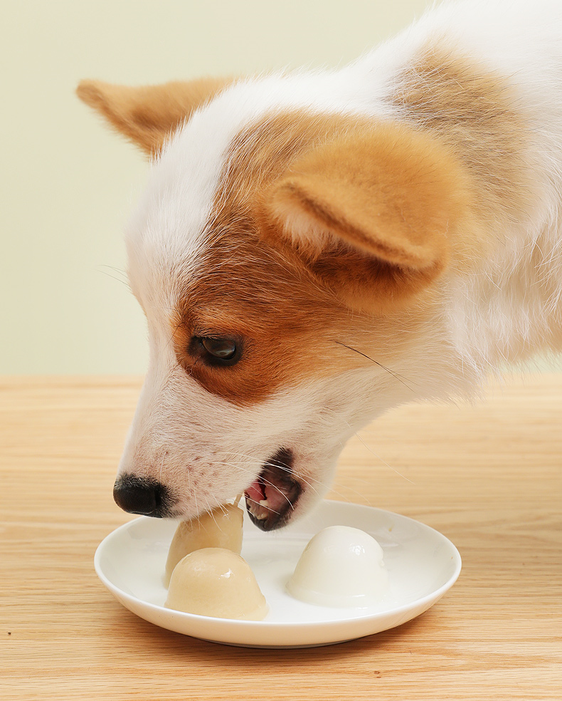 Pudding Thạch Sữa Dê Bổ Sung Canxi Cho Chó - [Nông Trại Thú Cưng]