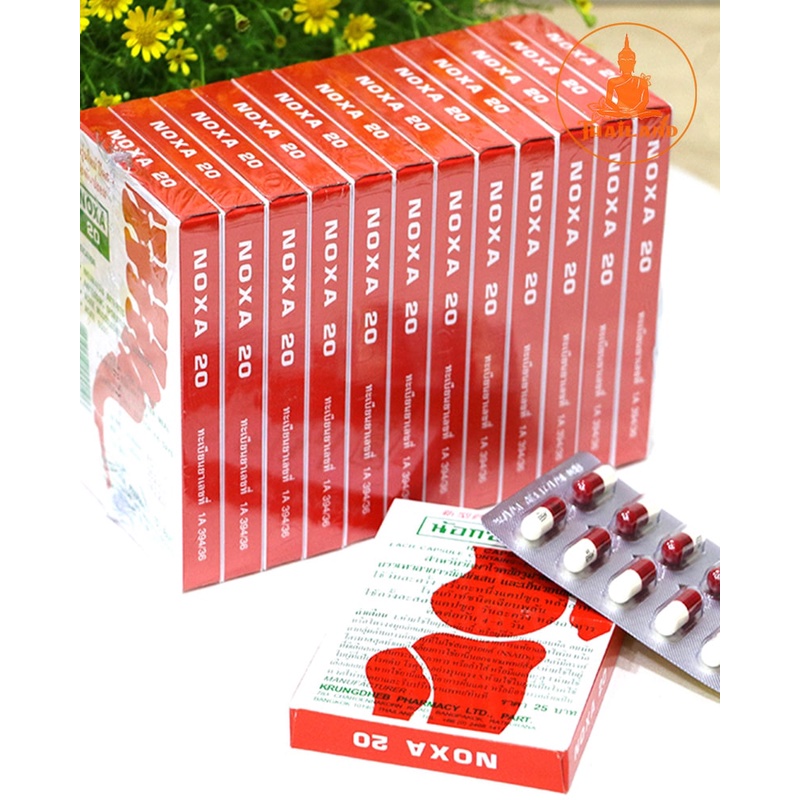 Combo 12 hộp xương khớp Noxa Thái Lan (chính hãng)