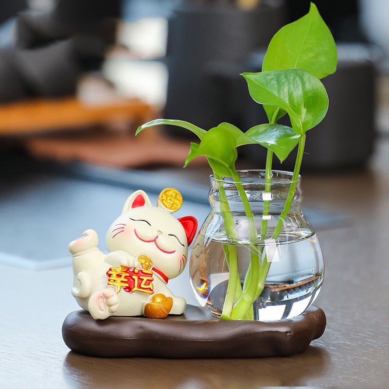 Bình thủy sinh kèm tượng mèo thần tài, mèo may mắn, Chậu trồng cây thủy sinh mini để bàn làm việc
