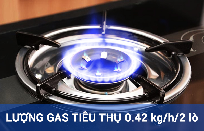 Bếp ga Sakura 650SG