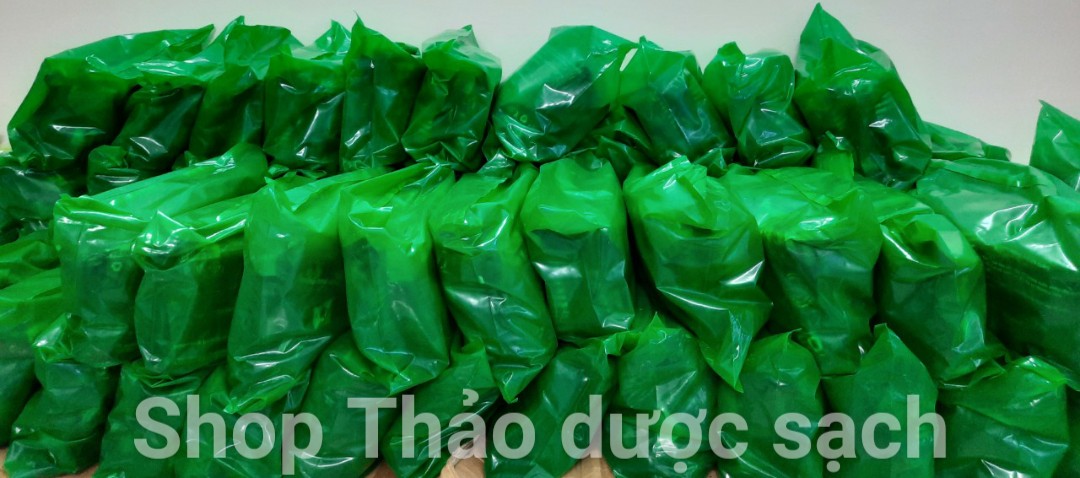 5KG TRÀ TÚI LỌC CÀ GAI LEO SADU