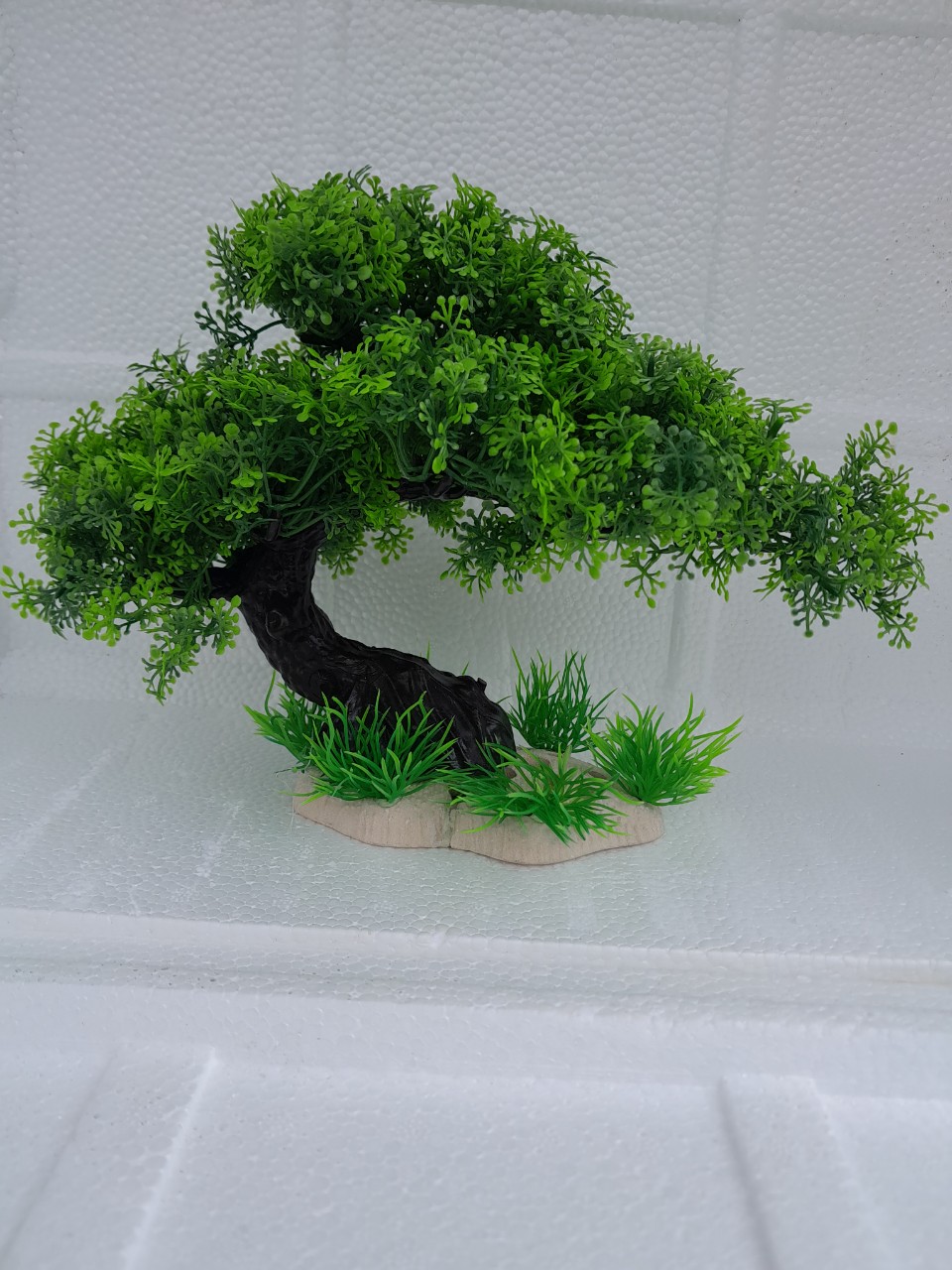 Bonsai bể Cá - Cỏ - Rong Trang Trí Bể Cá