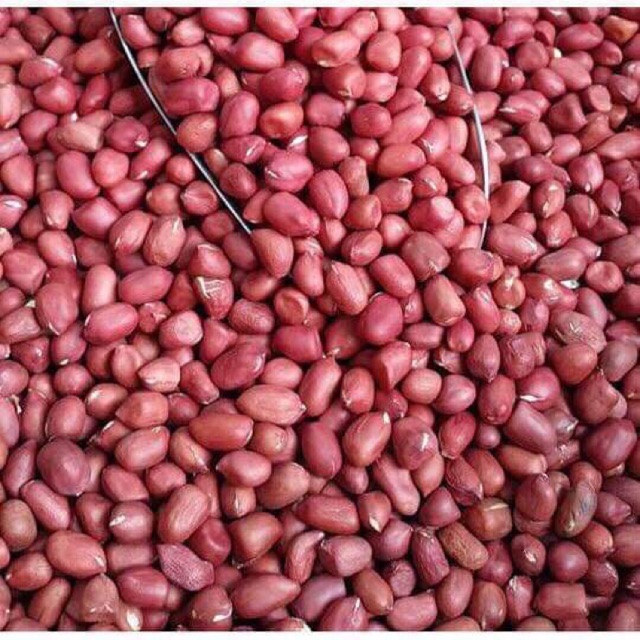 [HCM]Đậu phộng đỏ ( lạc đỏ) 500gr
