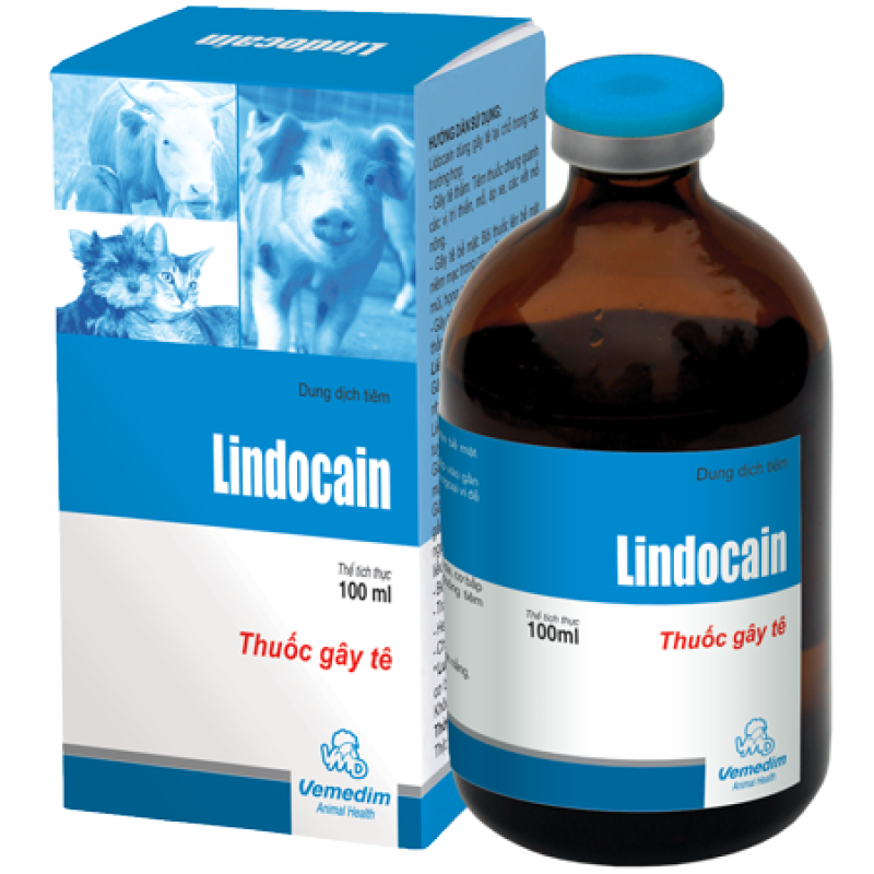 Lindocain - gây tê cục bộ trên chó, mèo và gia súc (Lọ 5ml)