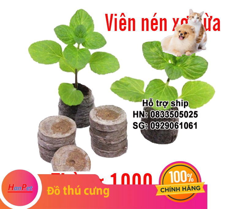 Hanpet - Thùng 1000 Viên nén xơ dừa / viên ươm hạt / viên kích thích nảy mầm (viên sơ dừa)- HP2411004