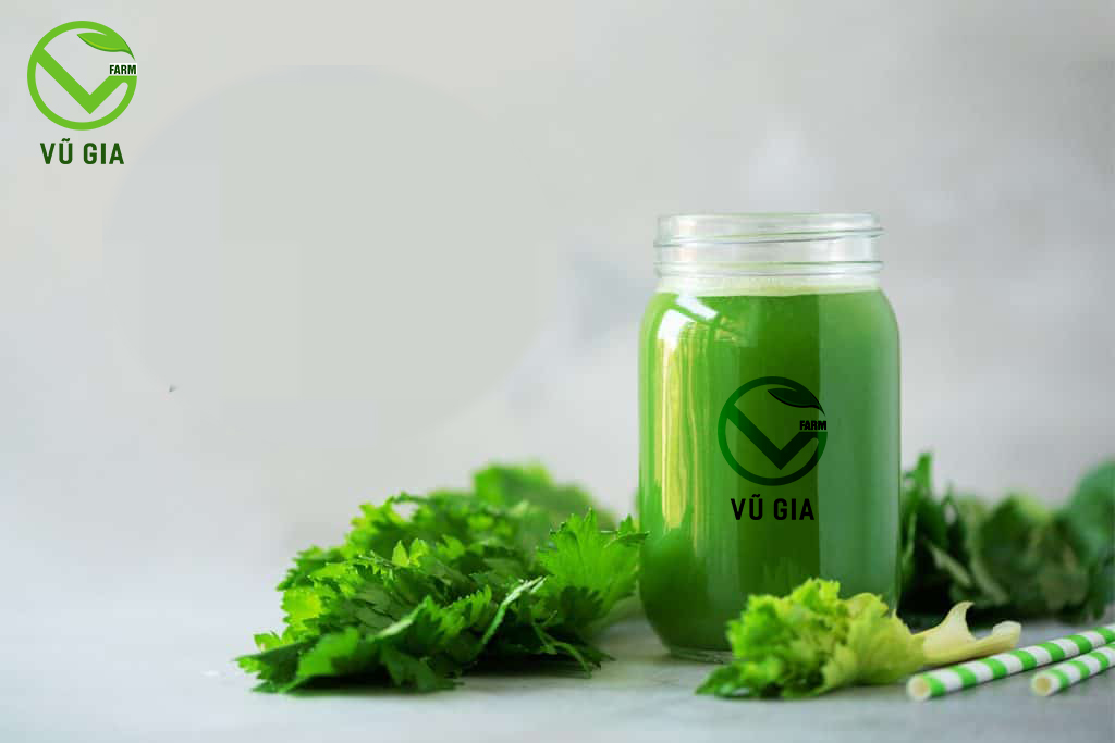 VG FARM Nước ép bột cần tây sấy lạnh 300ml