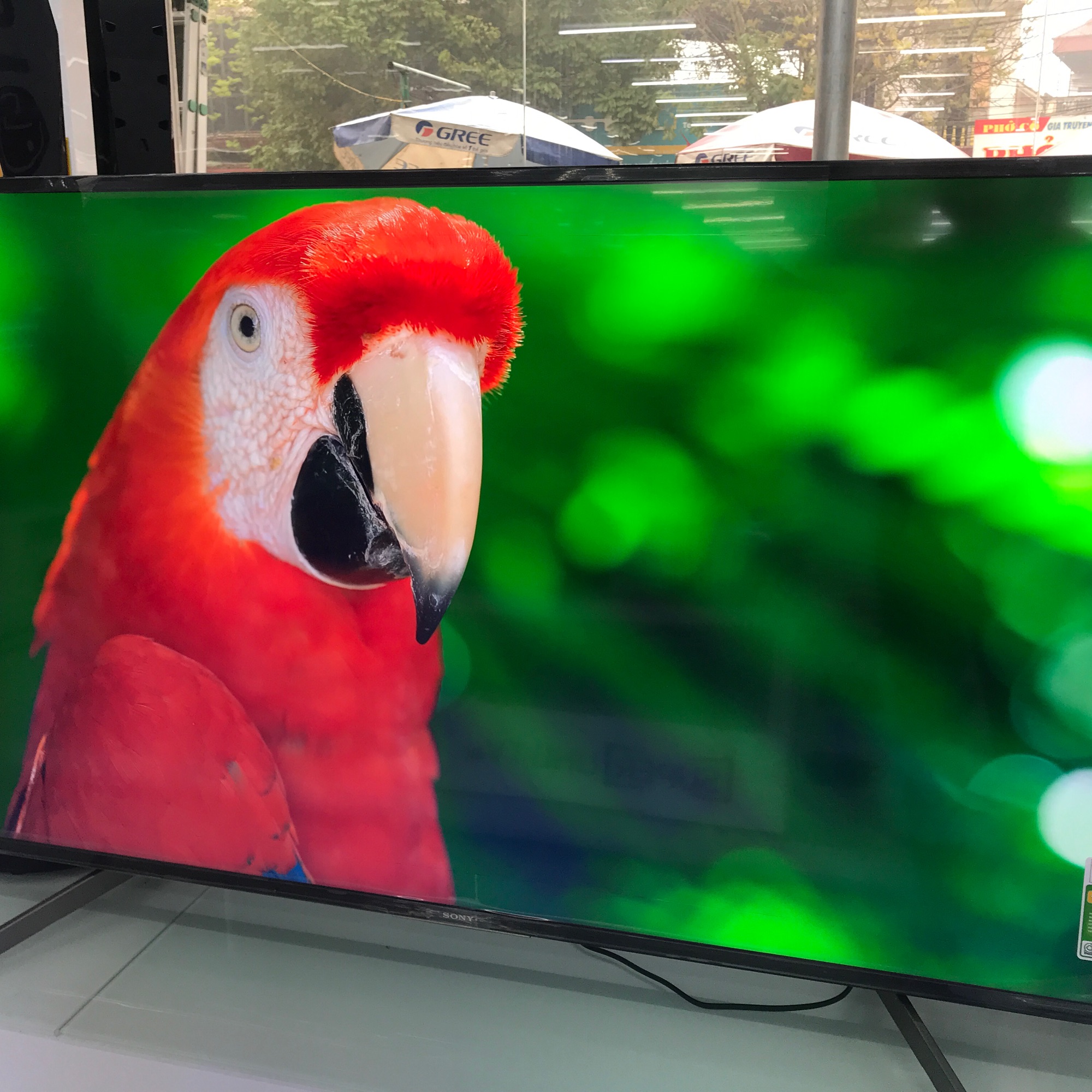 Tivi sony 2019