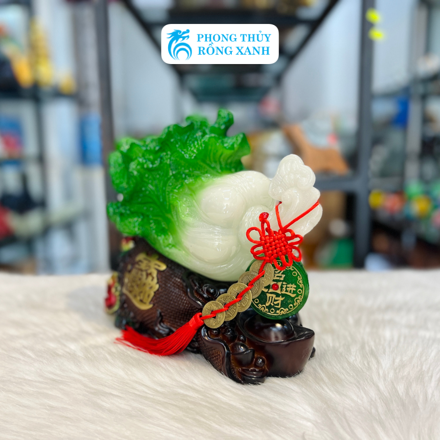 Bắp Cải Phong Thuỷ Đế Túi Vàng